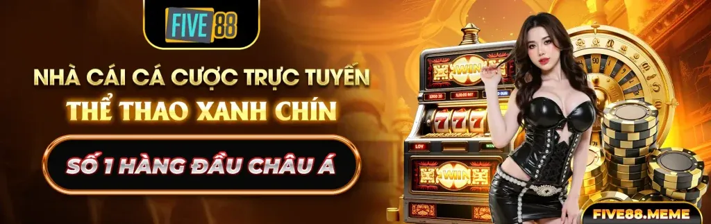 Phân tích ưu đãi mới nhất 5pet