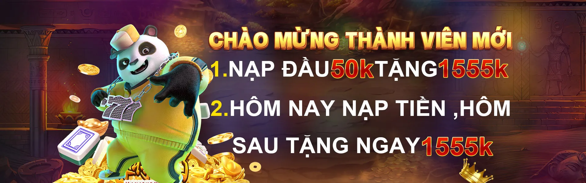 Các chương trình khuyến mãi và ưu đãi độc quyền tại 5pet
